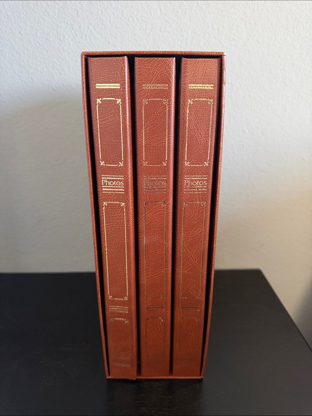 Vintage Pioneer Le Memo 3 Photo Album Set Faux Leather Case